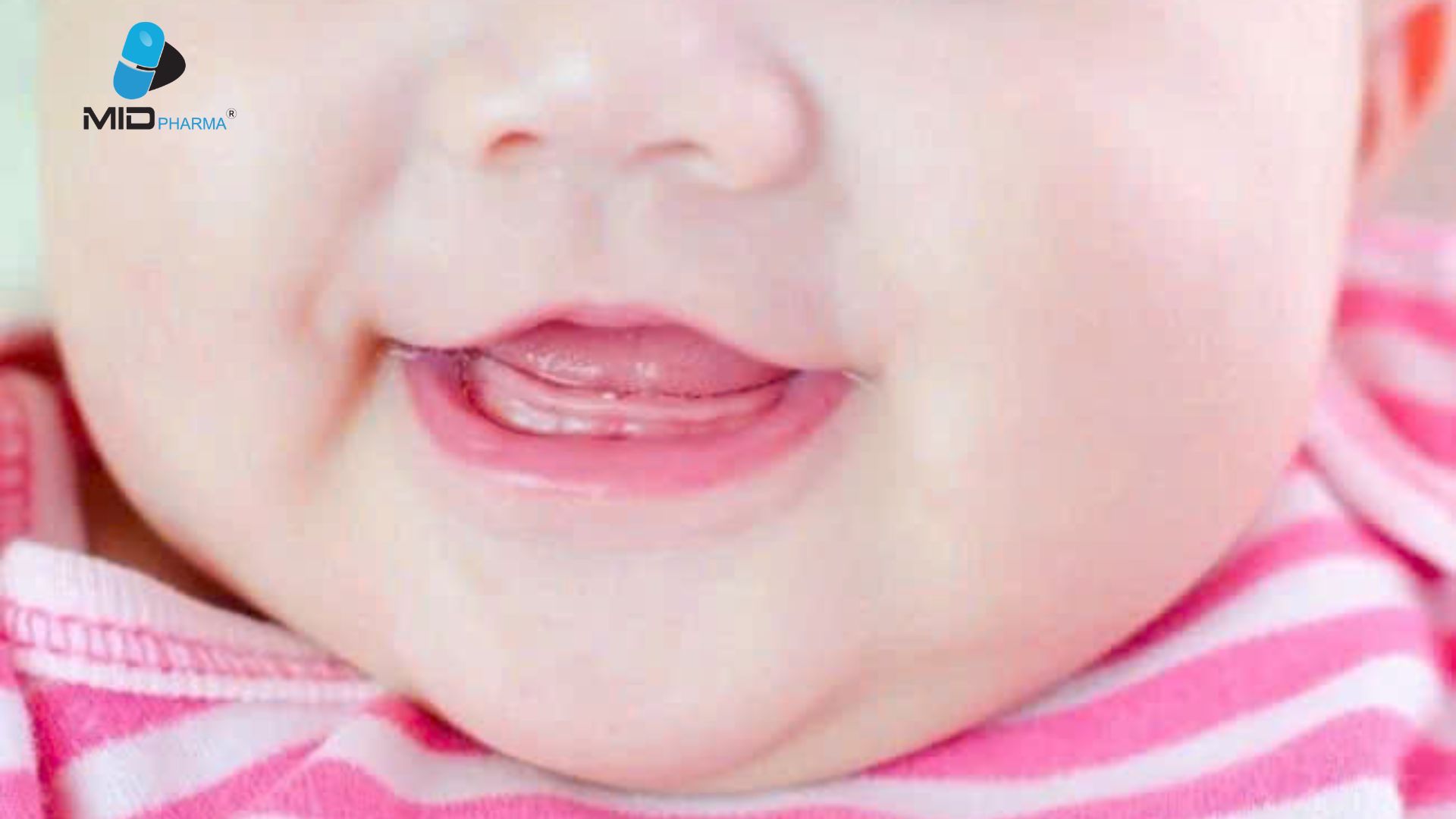 Mầm răng ở trẻ là gì?